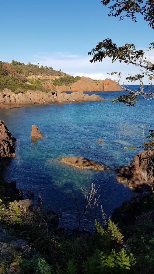 Saint Raphael - Appartement dans villa au calme à Valescure Esterno foto